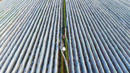 南阳社旗：冬日农事忙