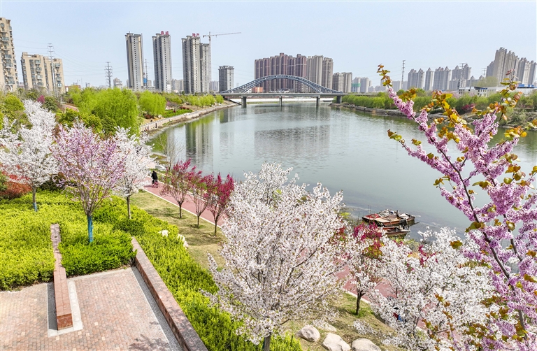 春风十里 不如食博有你_fororder_11_s