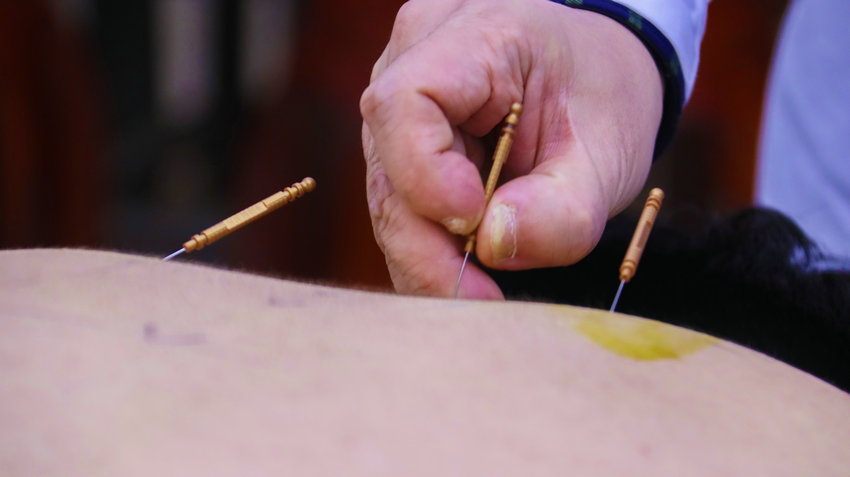 河南南阳：千年药都焕新彩 中医药传承创新谱华章_fororder_吴军瑞在给学生讲解针灸.JPG