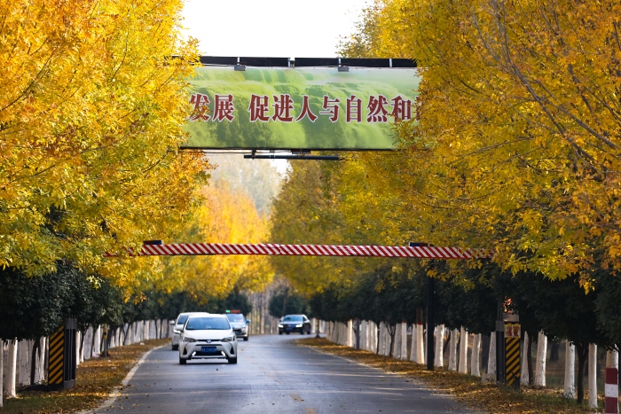 河南开封:古城秋韵浓 河南开封:古城秋韵浓