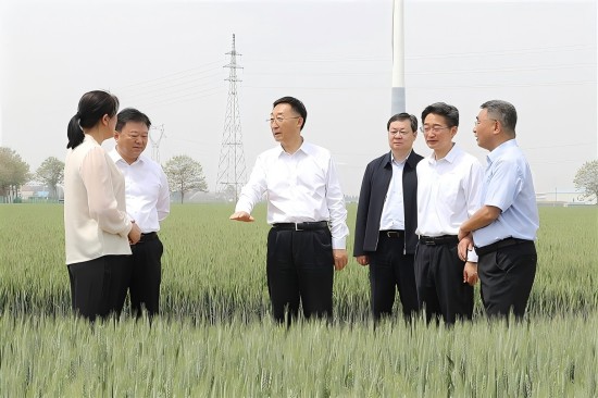 河南省委书记刘宁到焦作市温县、孟州市调研_fororder_20250427书记替换图_s