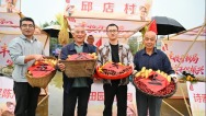 信阳市新县：欢声笑语庆丰收