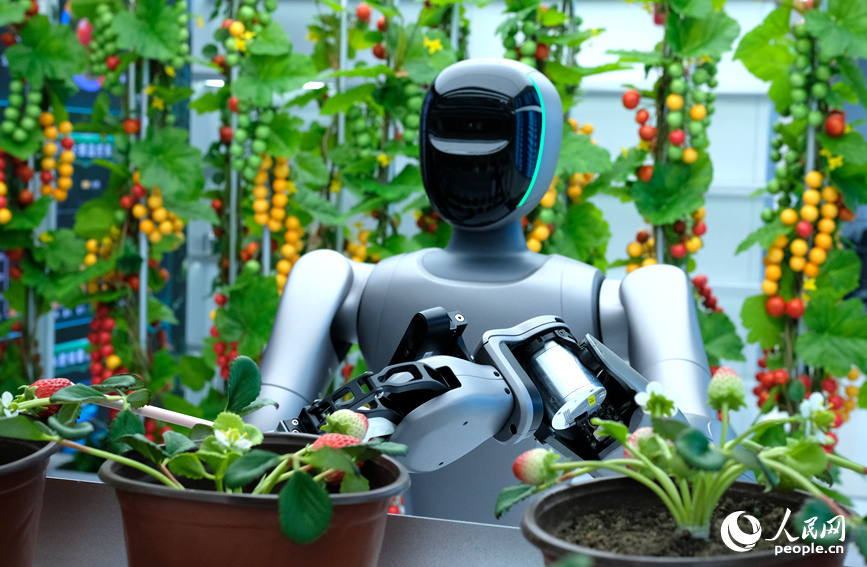 郑州机器人训练场：让“出厂新手”变“岗位能手”_fororder_LOCAL1773197662544RB3MGWGTCI