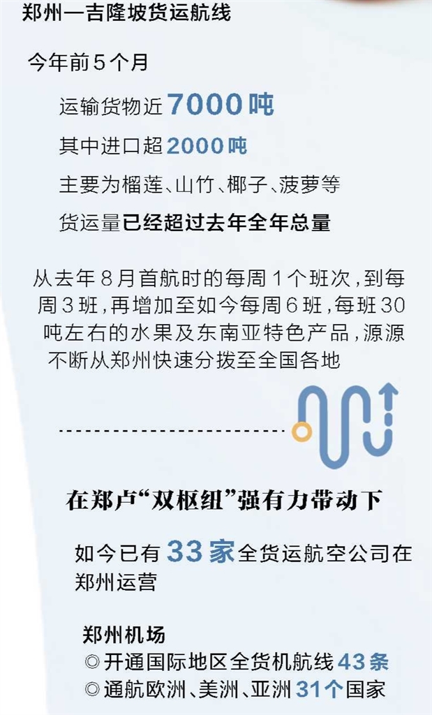 河南“双枢纽”模式如何走向全球