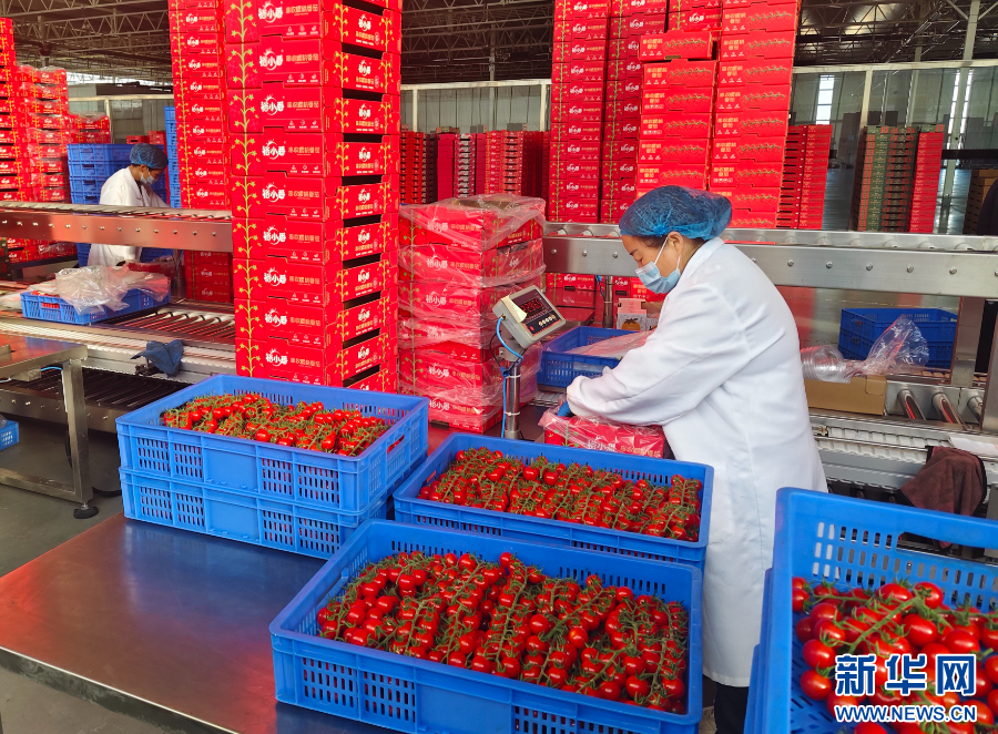 河南全力保障春节市场供应_fororder_20260118b4aa675bd877434f803f3e7f58fb1c8d_20260118fcfc80a432224607bf583cf1cb706984