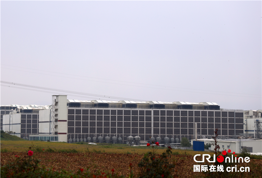 两岸媒体南阳行：探访特色产业 共话乡村振兴新篇章_fororder_微信图片_20251021082359