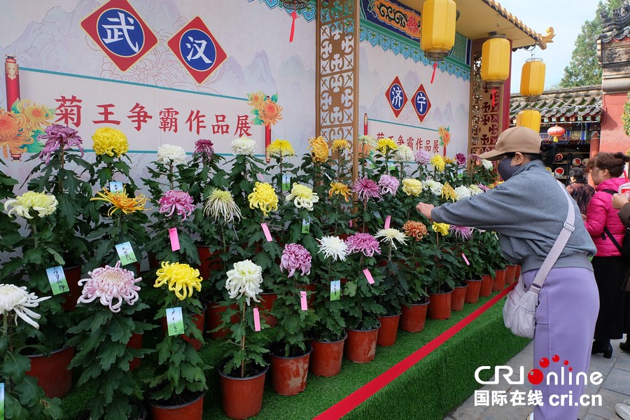 中国开封第43届菊花文化节启幕 邀海内外宾朋品宋韵菊香_fororder_DSCF3482.JPG