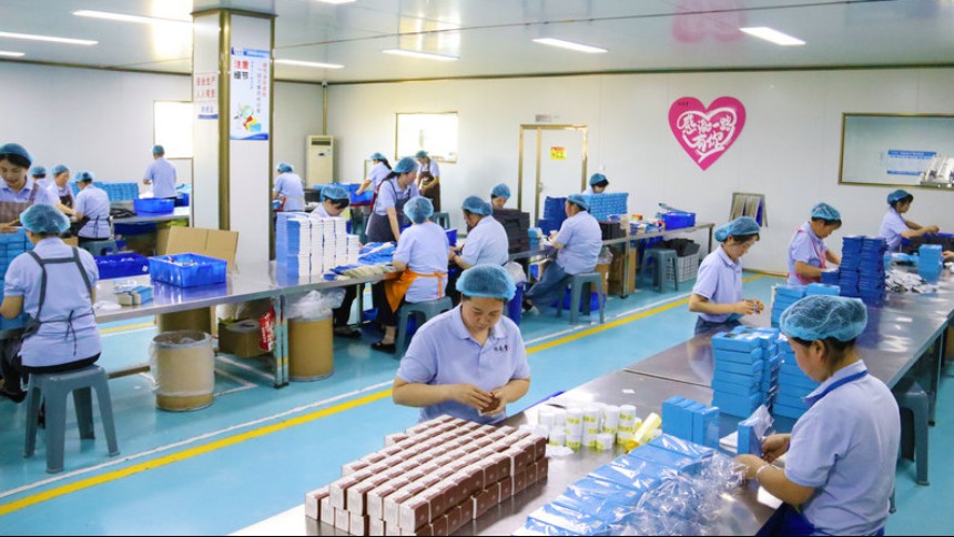 南阳市卧龙区：艾草企业生产忙