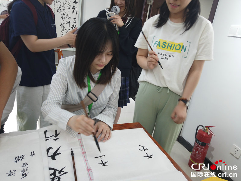中日青少年共话青春友谊 体验非遗魅力_fororder_微信图片_20250528153523