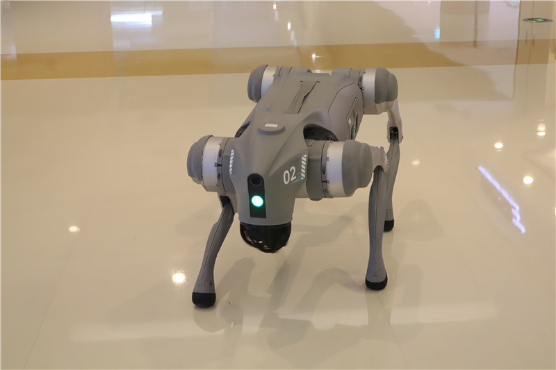 宇树科技河南首店落地郑州 引领科技消费热潮_fororder_机器狗