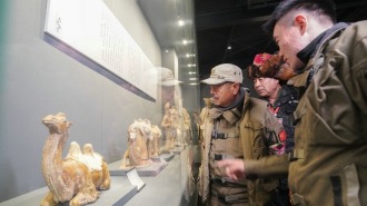 共续丝路情缘 东天山骆驼队参访郑州大象陶瓷博物馆