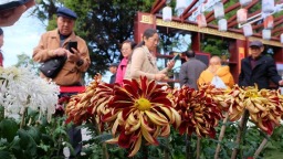 中国开封第43届菊花文化节启幕 邀海内外宾朋品宋韵菊香