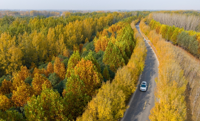 河南开封:古城秋韵浓 河南开封:古城秋韵浓