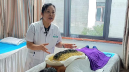 河南开封：活化大宋中医药资源 擦亮中原中医药特色名片