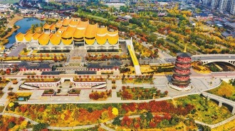 运河秋韵丨镜头里的河南