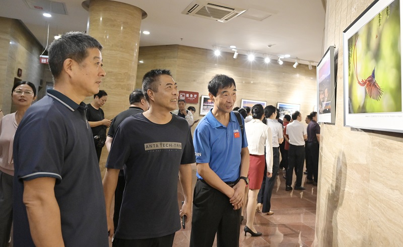 新县举办《“两个更好”进行时》庆丰收迎国庆摄影展_fororder_观看摄影展3（焦汉平 摄）