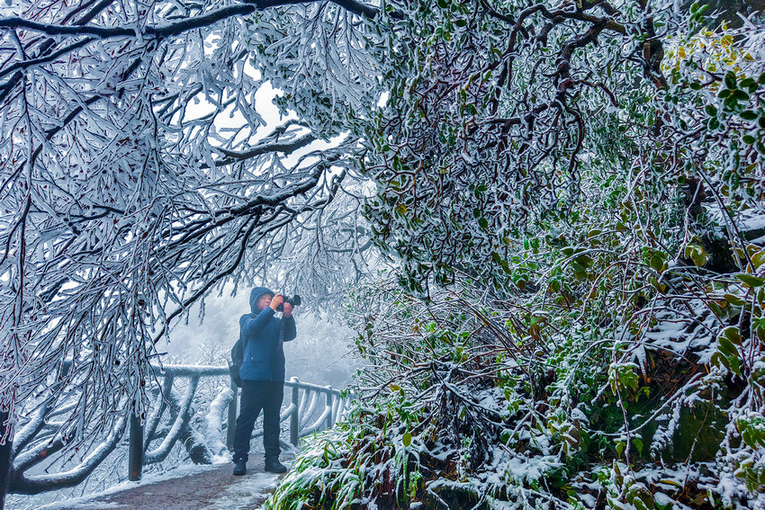尧山初雪染秋色 镜头定格中原仙境_fororder_尧山初雪染秋色 镜头定格中原仙境2