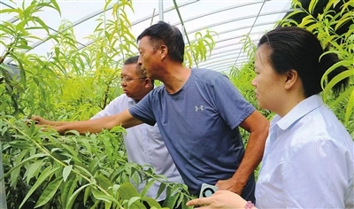 工商银行河南省分行：做实做细“五篇大文章” 精准服务河南经济高质量发展