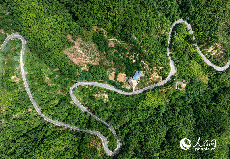 固定资产投资超千亿元 河南晒出2025年交通强省“成绩单”_fororder_LOCAL1768204189936TQKZRUVGCU