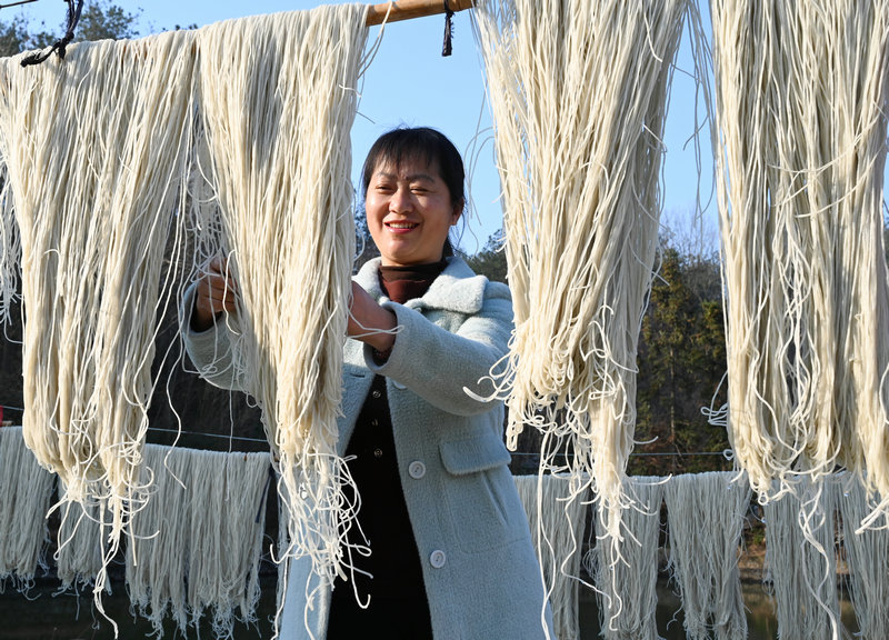 信阳市新县：“冬闲”变“冬忙” 手工粉条富农家_fororder_村民正在整理晾晒的粉条（焦汉平 摄）