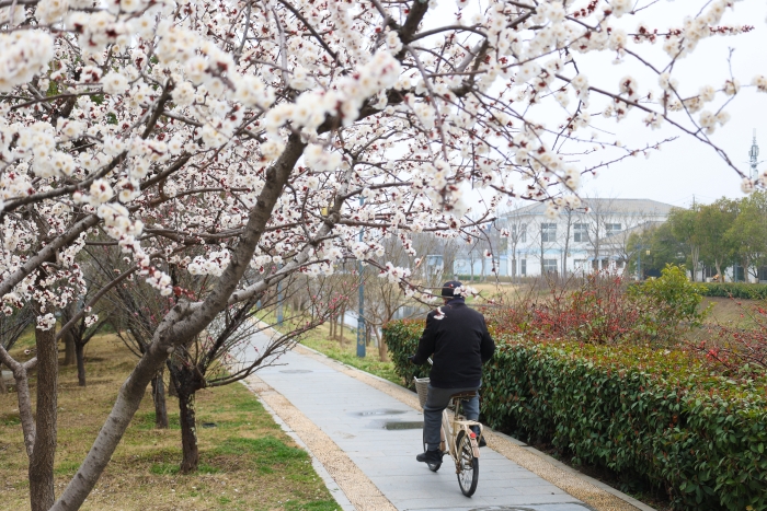 古城春色入画来_fororder_654232_700x700