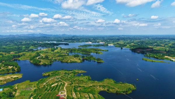 南阳市卧龙区：高质量发展谱写现代化建设美好画卷