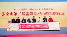 张宝山第三届霜降铁棍山药采挖仪式举行