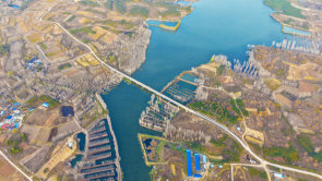 南阳市卧龙区：依法生态治水 打造幸福河湖