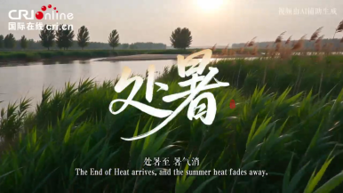 节气中国·AI同行｜暑退清秋至 万象启中原