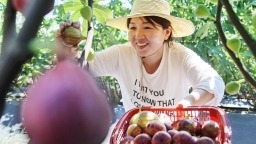 开封尉氏：无花果迎来采摘季