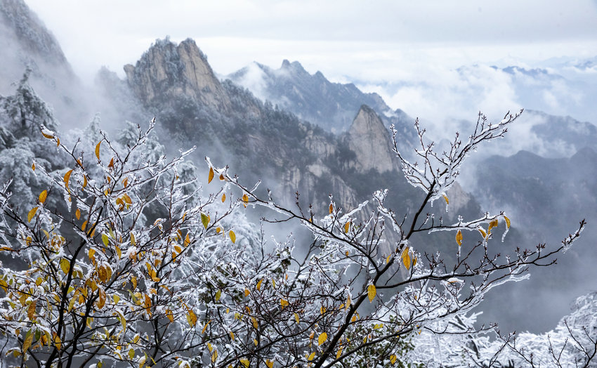 尧山初雪染秋色 镜头定格中原仙境_fororder_尧山初雪染秋色 镜头定格中原仙境5