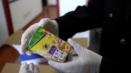 “上车”即“登船” 豫西南货物出海实现“公海直运”