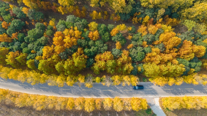 河南开封:古城秋韵浓 河南开封:古城秋韵浓