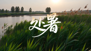 节气中国·AI同行｜暑退清秋至 万象启中原_fororder_ScreenShot_2026-08-14_153904_216