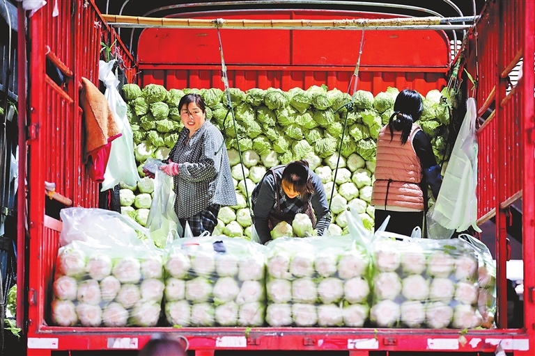 市场承压价格普涨三成以上 河南如何稳住“菜篮子”