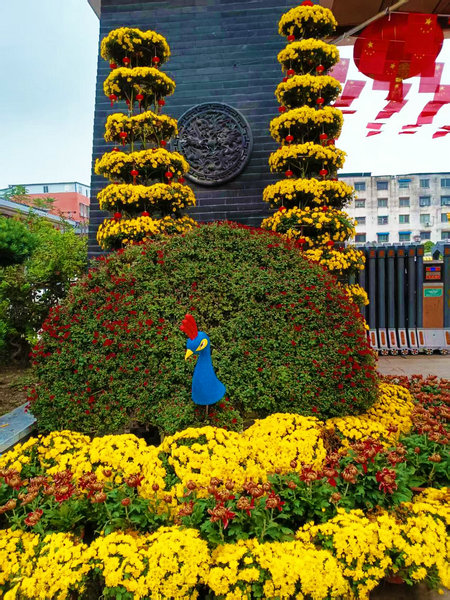 南阳市新野县：万菊竞艳汉桑城 文旅盛宴引客来_fororder_菊花展上展出的月季造型 摄影 丁建忠