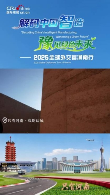 驻华外交官在“只有河南”触摸“鲜活”历史文化