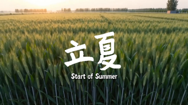 节气中国·AI同行｜立夏万物生