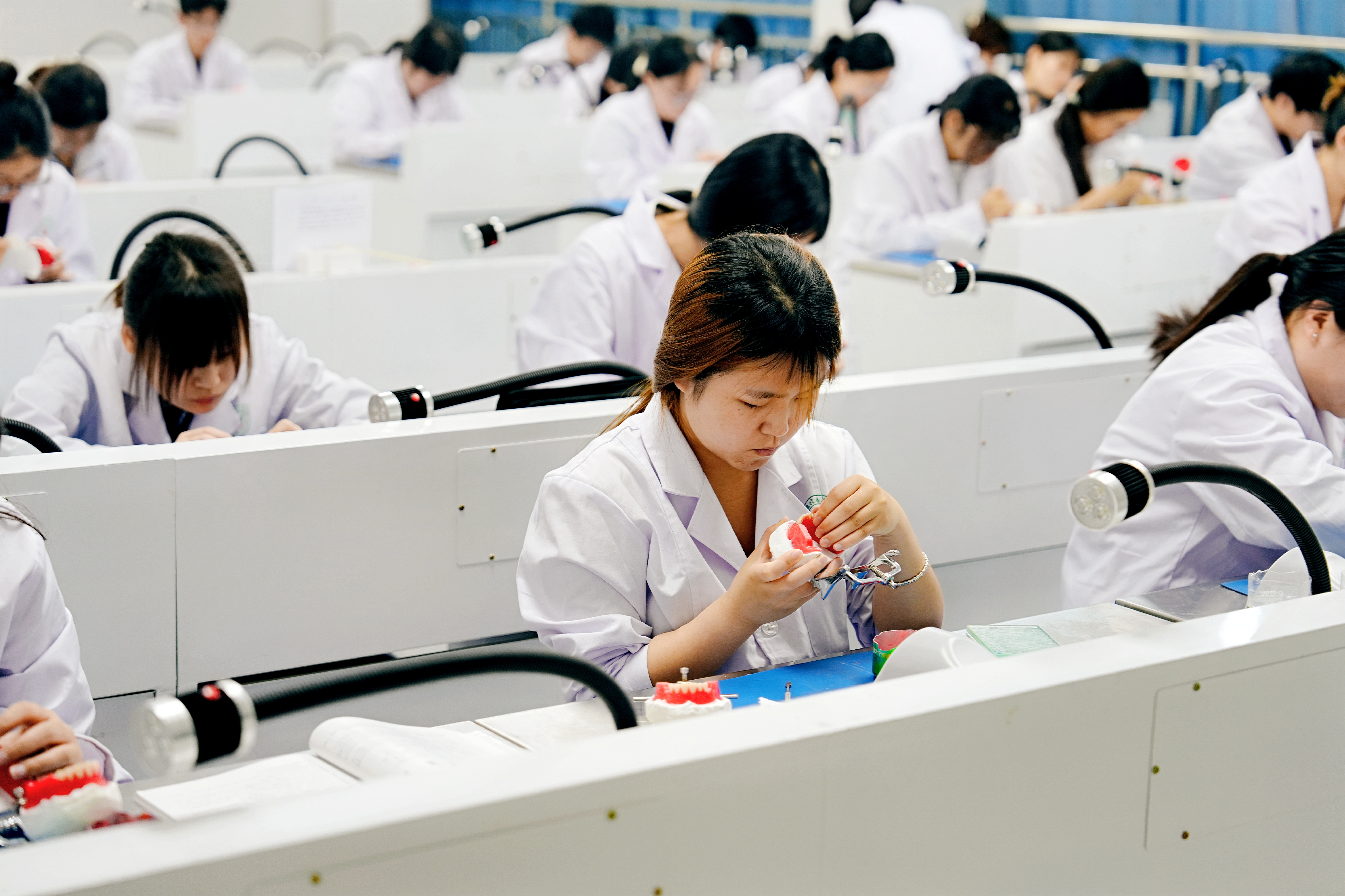 让千年岐黄重焕生机！50余家媒体记者点赞郑州医药健康职业学院职教高招