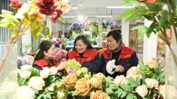 南阳社旗：内陆小城“花开”全球