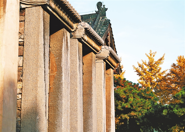 运河秋韵丨镜头里的河南