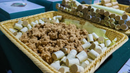 河南南阳：千年药都焕新彩 中医药传承创新谱华章