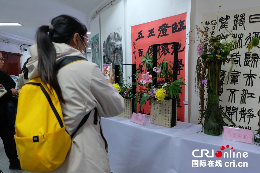 菊香织锦绣 中国翰园碑林打造沉浸式文化艺术盛宴_fororder_游客游览拍照 摄影 仝瑞勤.JPG