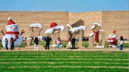 建业文旅年味浓 解锁新春新体验