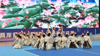 2026海峡两岸青年（暑期）匹克球交流赛在鹤壁开赛
