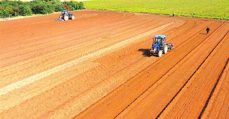 从行业突破看安阳如何以实干践行“两高四着力”