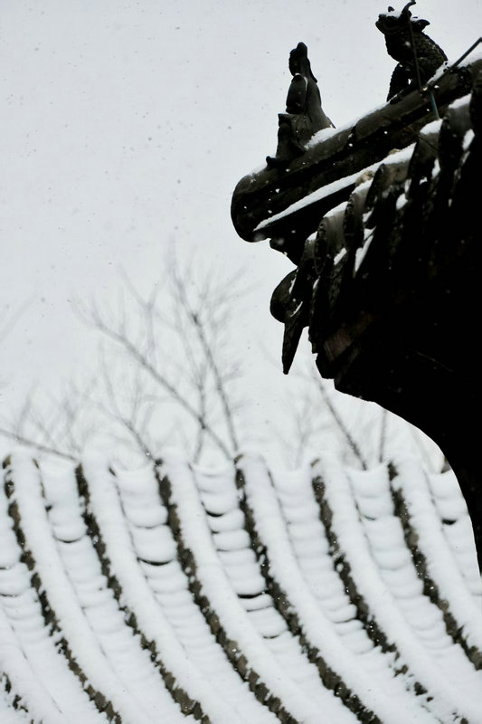Z视觉 | 落雪覆飞檐 这份中式浪漫藏不住了_fororder_572129a2f16c44aebb6faa5066984a16