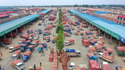 豫见新篇·共绘未来|代表委员擘画河南乡村振兴新图景