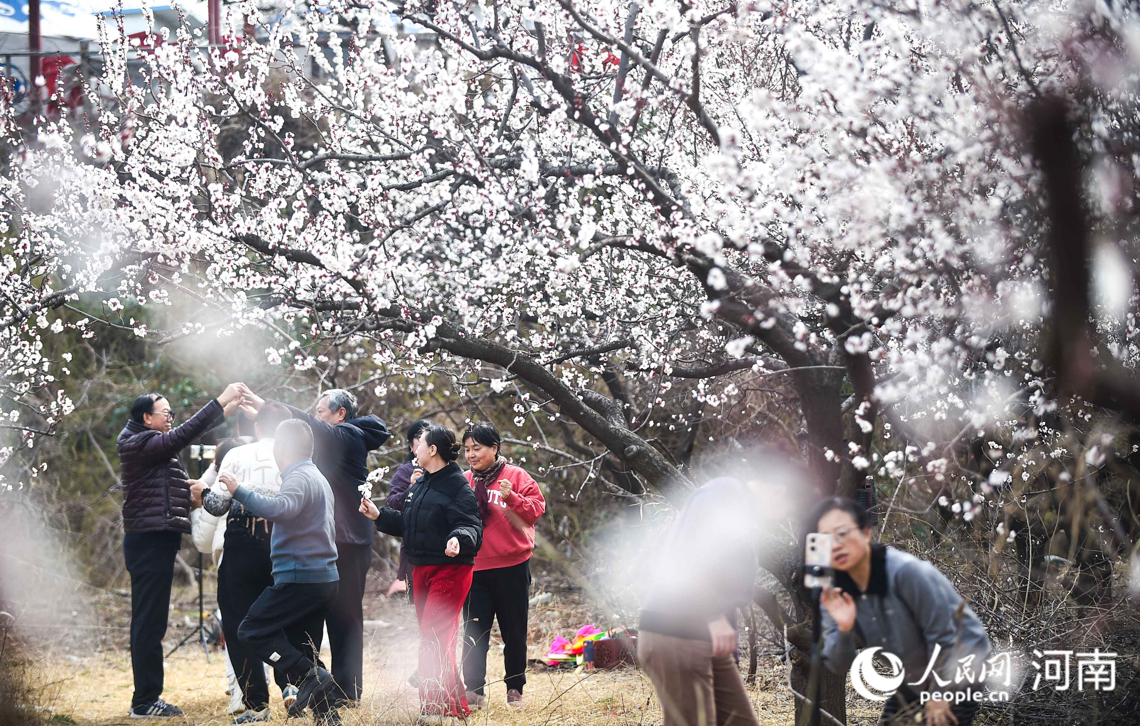 看河南卫生健康如何把“民生清单”变成“幸福账单” 惠民实事清单里的温度与力度_fororder_8.JPG