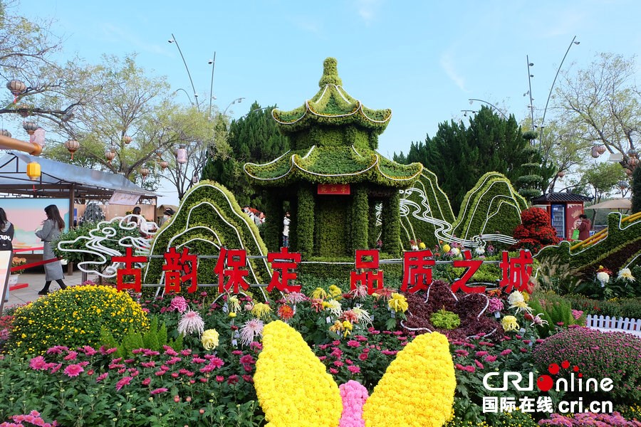 第十五届中国菊花展览会在开封开幕 焕活古都文旅新活力_fororder_DSCF3438.JPG